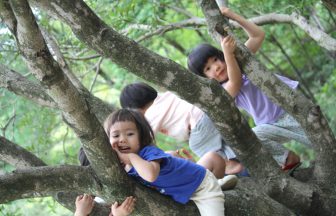 木登りも楽しいよ！