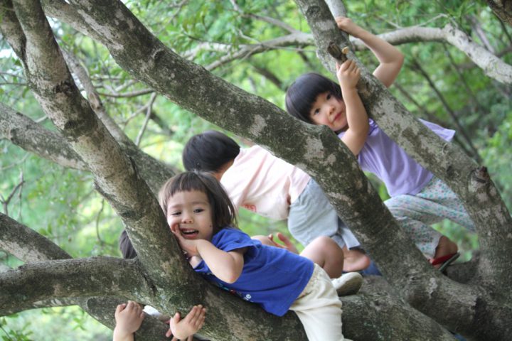 木登りも楽しいよ！